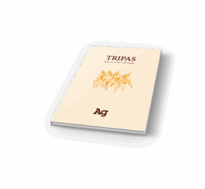 Campaña: "Tripas"de Mónica Galindo y Sara Marín - Imagen 3