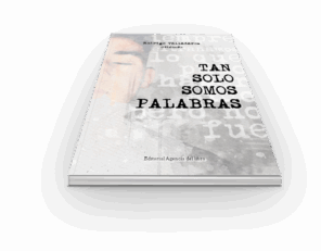 Campaña: "TAN SOLO SOMOS PALABRAS" de Rodrigo Valladares Alonso @HaliasRs - Imagen 2