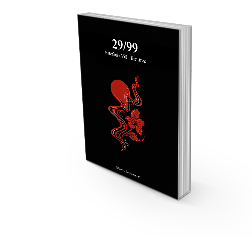 Campaña "29/99" de Estefanía Villa Ramírez