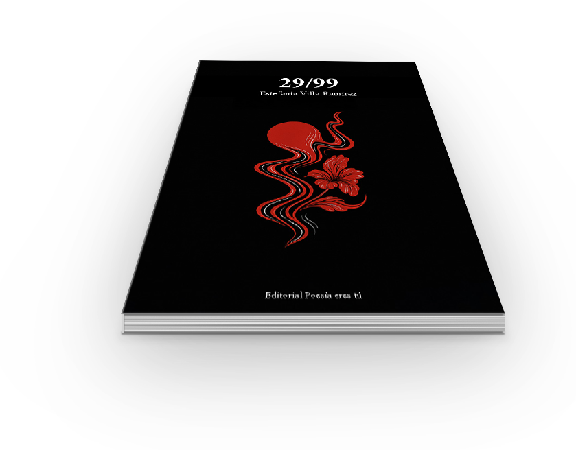 Campaña "29/99" de Estefanía Villa Ramírez